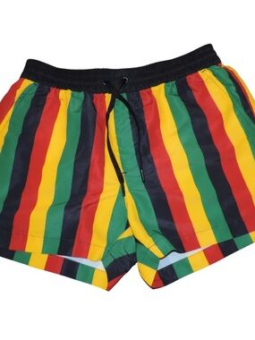 Men's Multicolor Stripe Swim/Board Shorts - Black Waistband